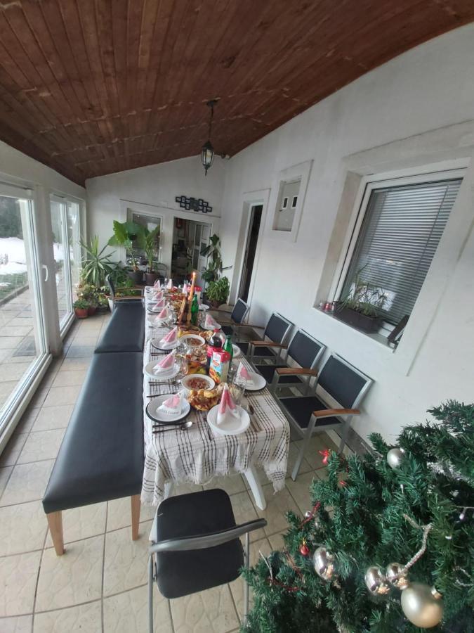 Vila Boba Bor Zlot Exterior photo